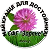 Горчица желтая